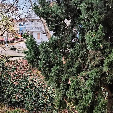παραποτάμια νάουσα
