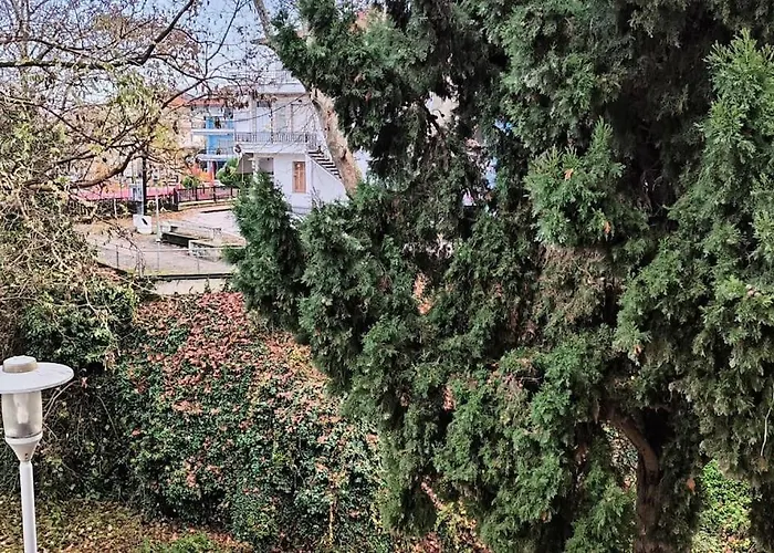 παραποτάμια νάουσα